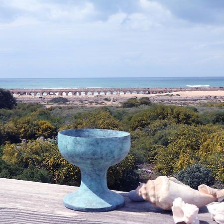 Beach Front House Caesarea Room photo